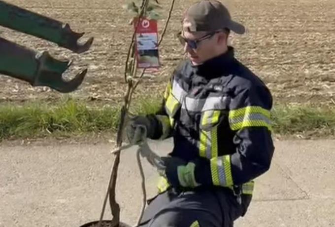 Baumpflanz-Challenge