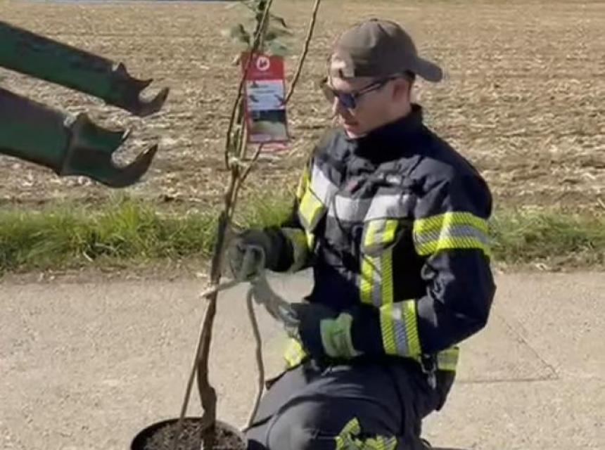 Baumpflanz-Challenge